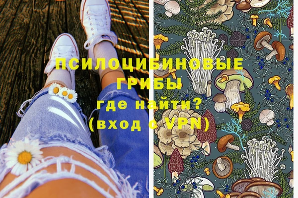 сатива Кукмор
