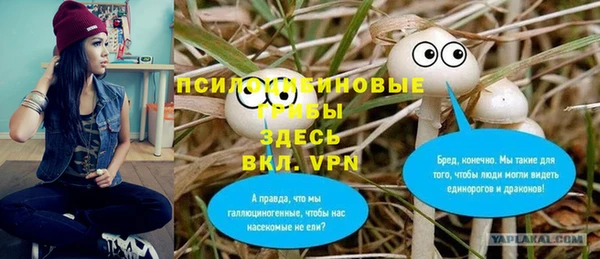дмт Кулебаки