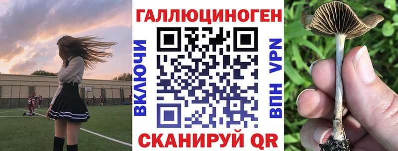 Галлюциногенные грибы Cubensis  Урус-Мартан 