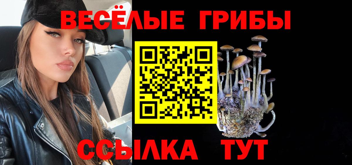 Галлюциногенные грибы Magic Shrooms Урус-Мартан