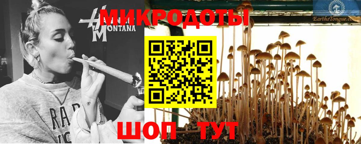 Урус-Мартан  Псилоцибиновые грибы прущие грибы  Вход с VPN 
