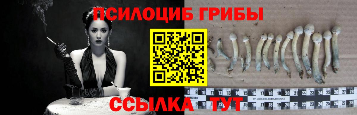 MDMA  Метамфетамин  Меф МЯУ МЯУ   НБОМе  Alpha PVP СОЛЬ кристаллы  Меф МЯУ МЯУ кристаллы  Гашиш  Канабис  Урус-Мартан  КОКАИН 